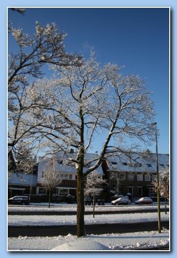 Arnhem Snow 005